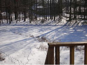 2650 Pine Road Plymouth, IN 46563 - Photo 16 of 18 Gallery Image 16