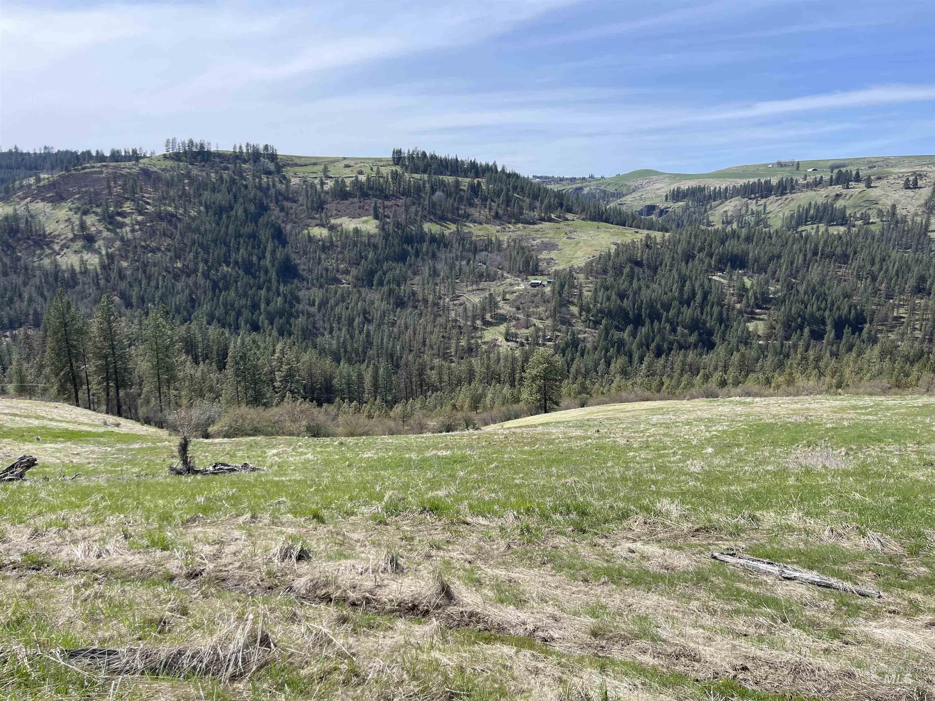 Tbd Wagonwheel Road Stites, ID 83552 - Photo 2 of 33