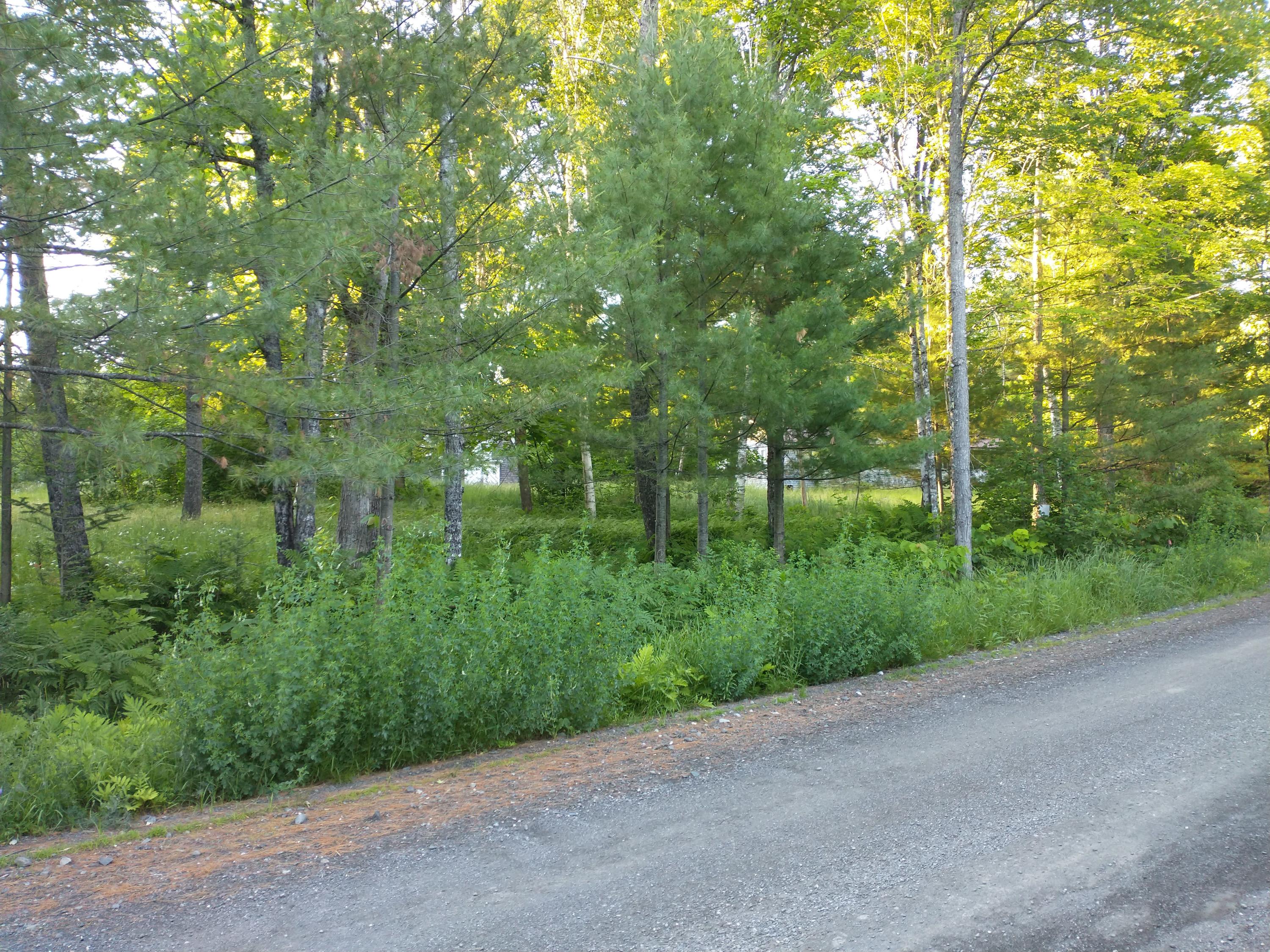 28 Glass Hill Road Guilford, ME 04443 - Photo 84 of 89 IMG_20210623_192406446