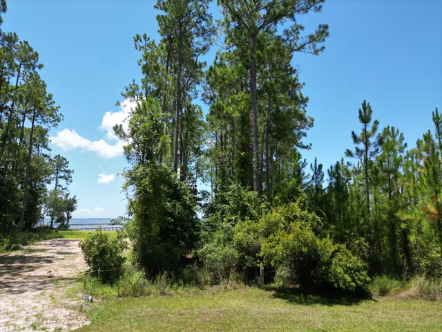 a view of outdoor space and deck