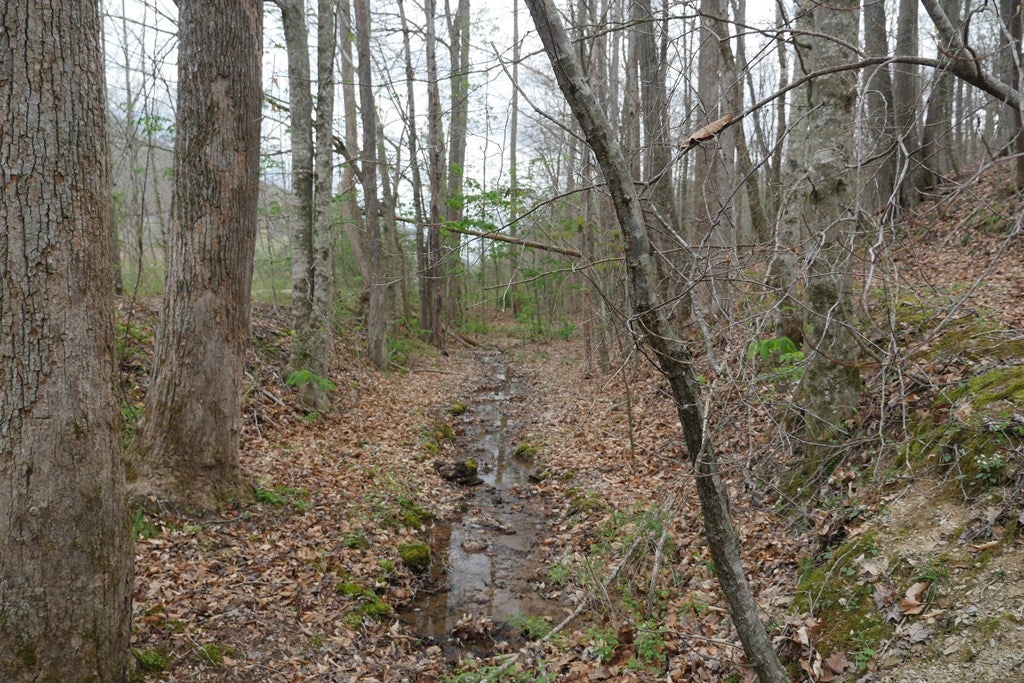 Tbd Valley Spring Road, Unit 1 Jonesville, VA 24263 - Photo 23 of 55 Gallery Image 23