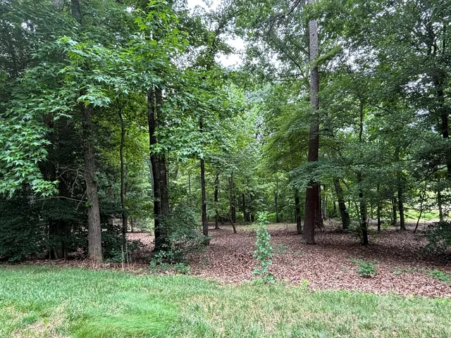 a view of a garden with plants and large trees
