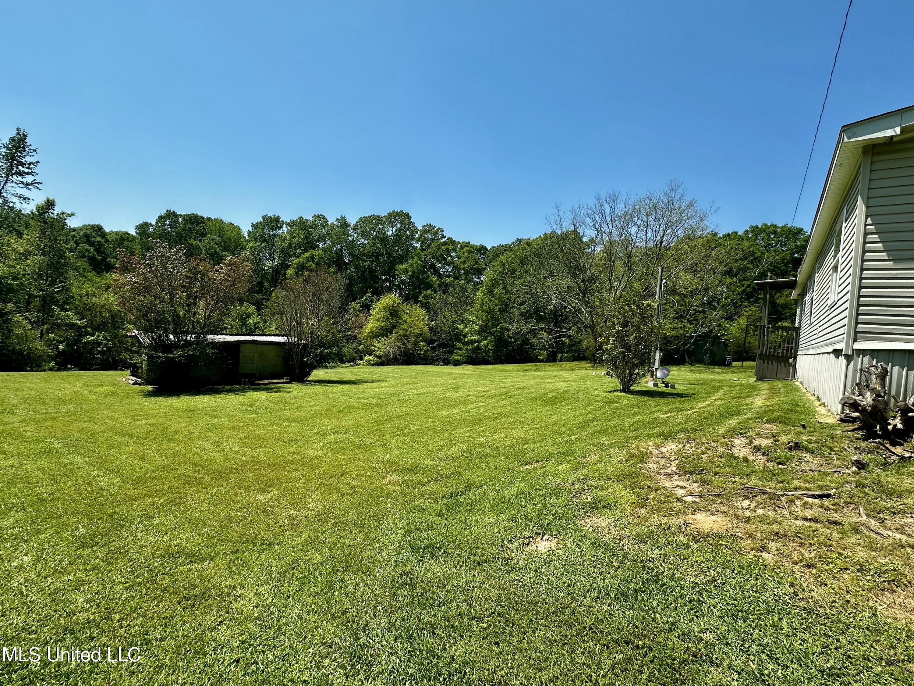 20 Longmire Road Natchez, MS 39120 - Photo 3 of 20 back yard