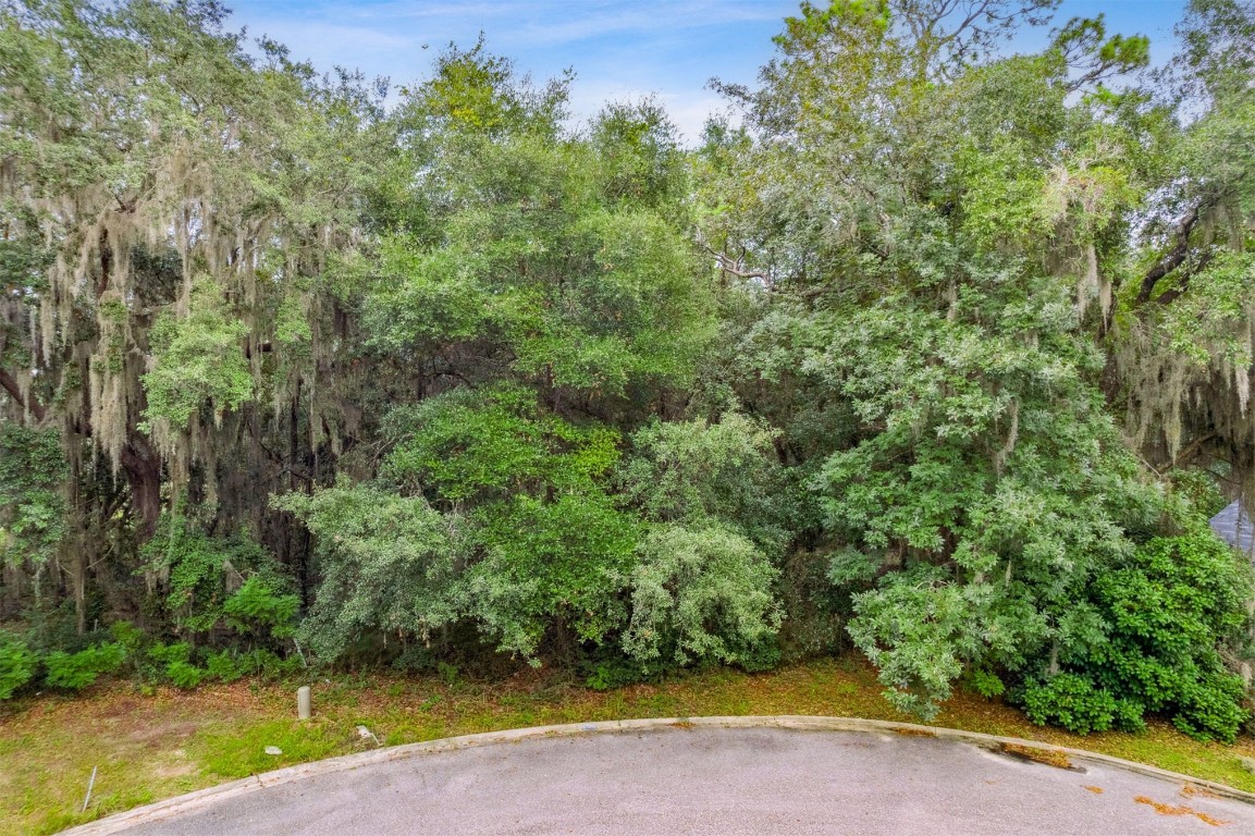 97398 Yorkshire Drive Yulee, FL 32097 - Photo 3 of 5 a view of a yard with a trees