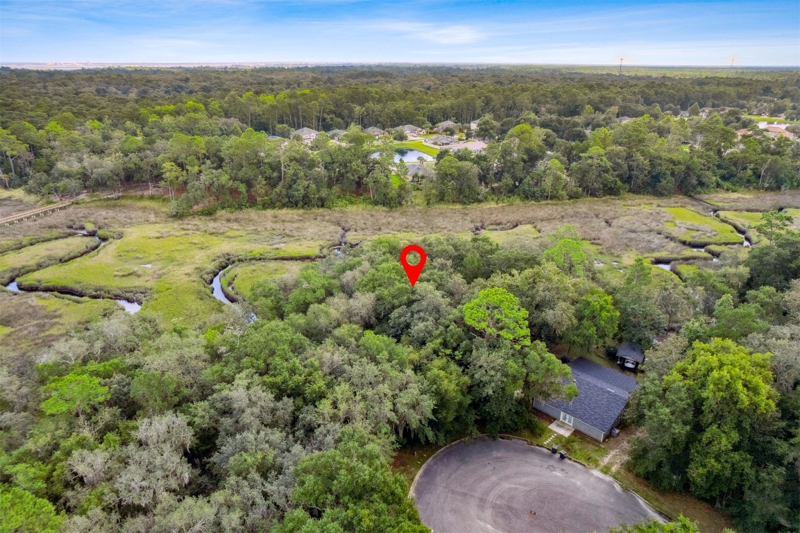 97398 Yorkshire Drive Yulee, FL 32097 - Photo 4 of 5 an aerial view of residential houses with outdoor space and trees