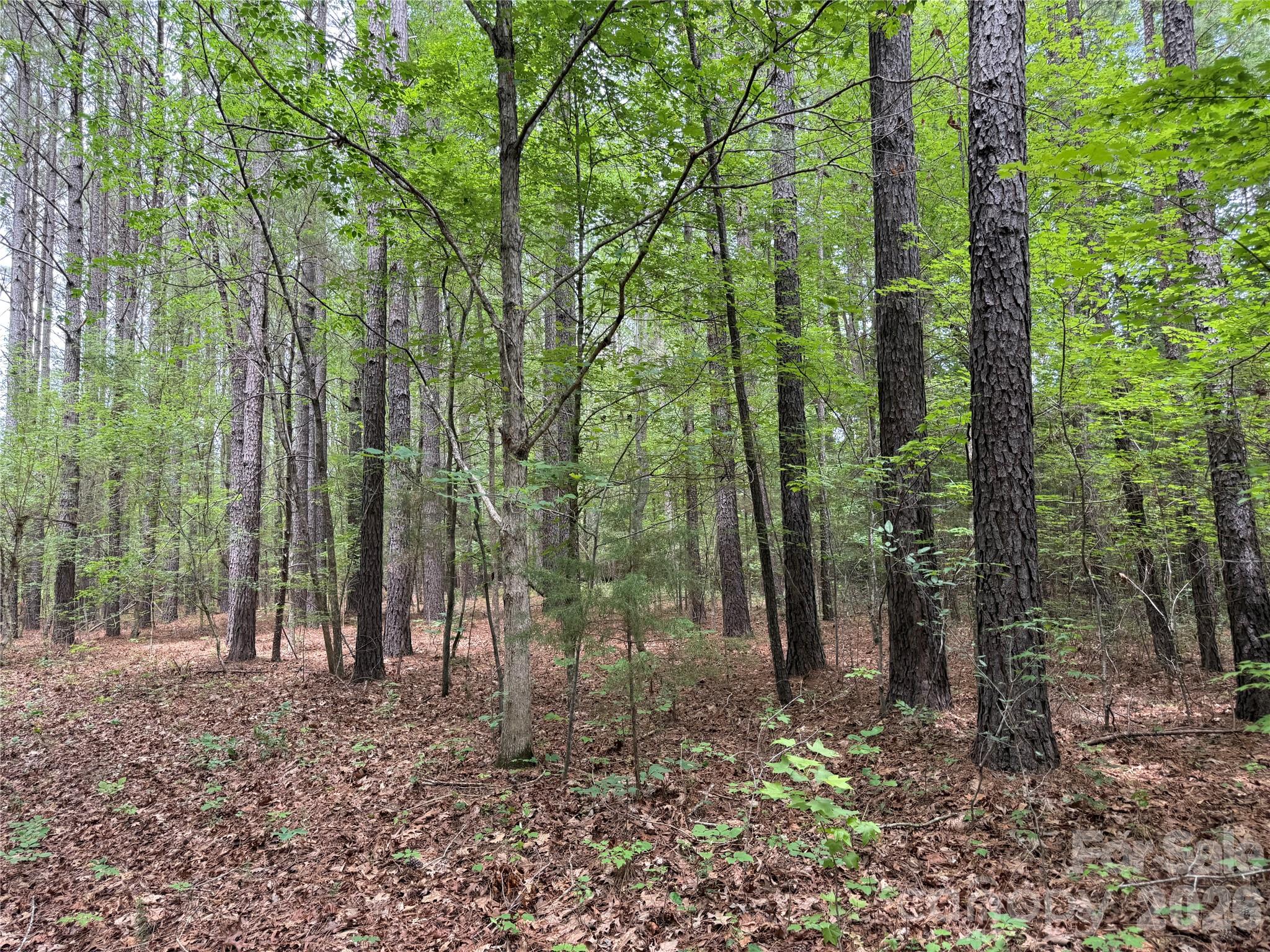 0 Herbert Faucette Road Bullock, NC 27507 - Photo 3 of 40