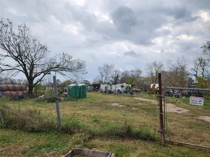 a view of a park with large trees