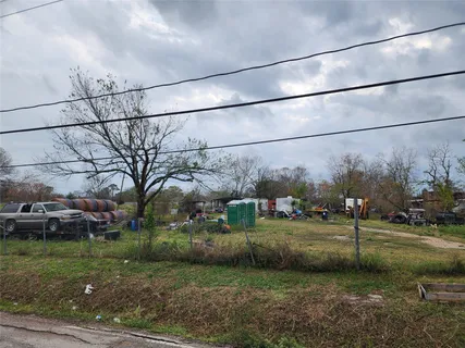 a view of a garden with large trees