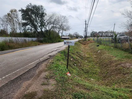 a view of a yard with large trees