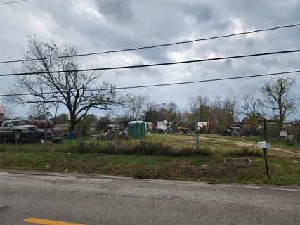 a street view with large trees