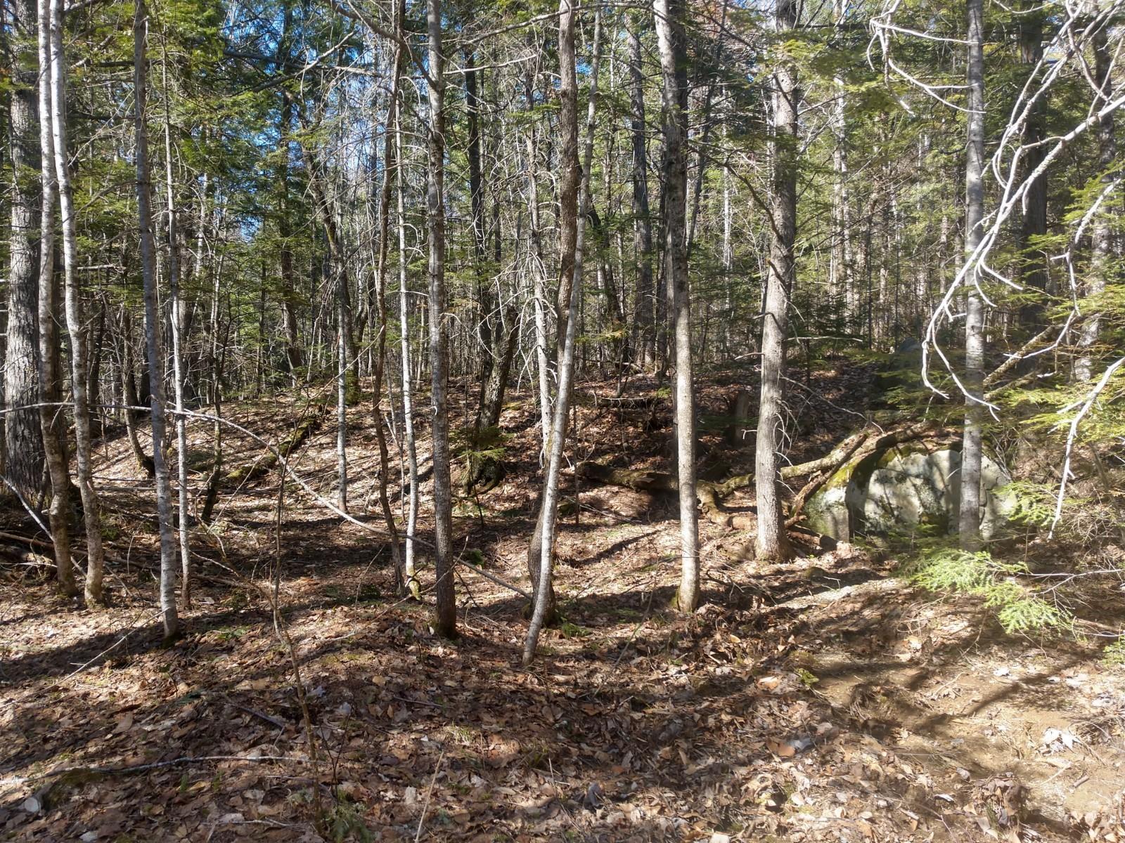 L29 A Dow Farm Road Island Falls, ME 04747 - Photo 2 of 11 IMG_20190506_152619808_HDR