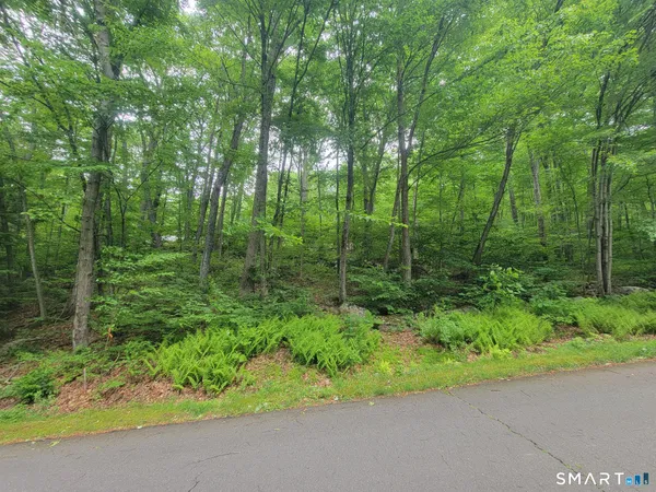 $169,000 | 17-lot 2) 17-lot 2) Secret Mountain Trail, Canton, CT 06019