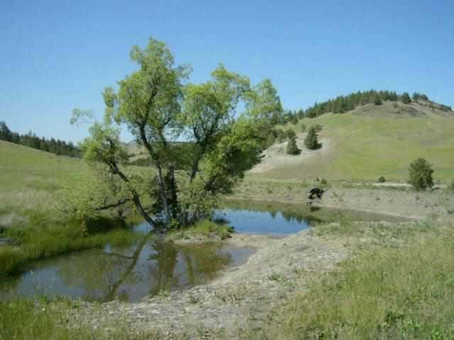 0 Ager Beswick Road Montague, CA 96064 - Photo 3 of 8 Gallery Image 3
