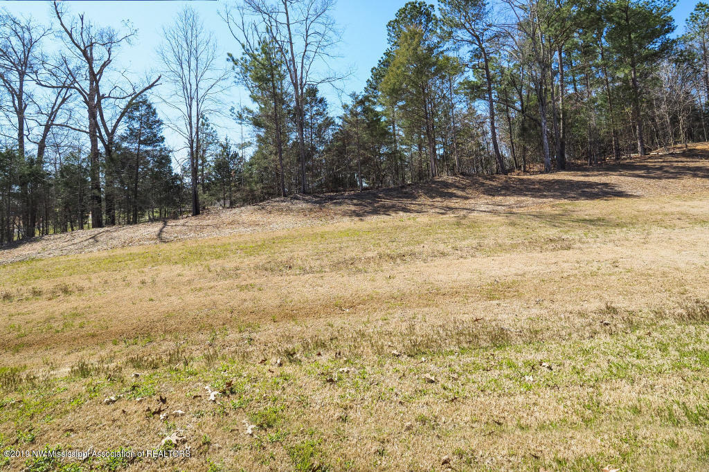 3355 Straw Bridge Road Olive Branch, MS 38654 - Photo 31 of 34 P3220142
