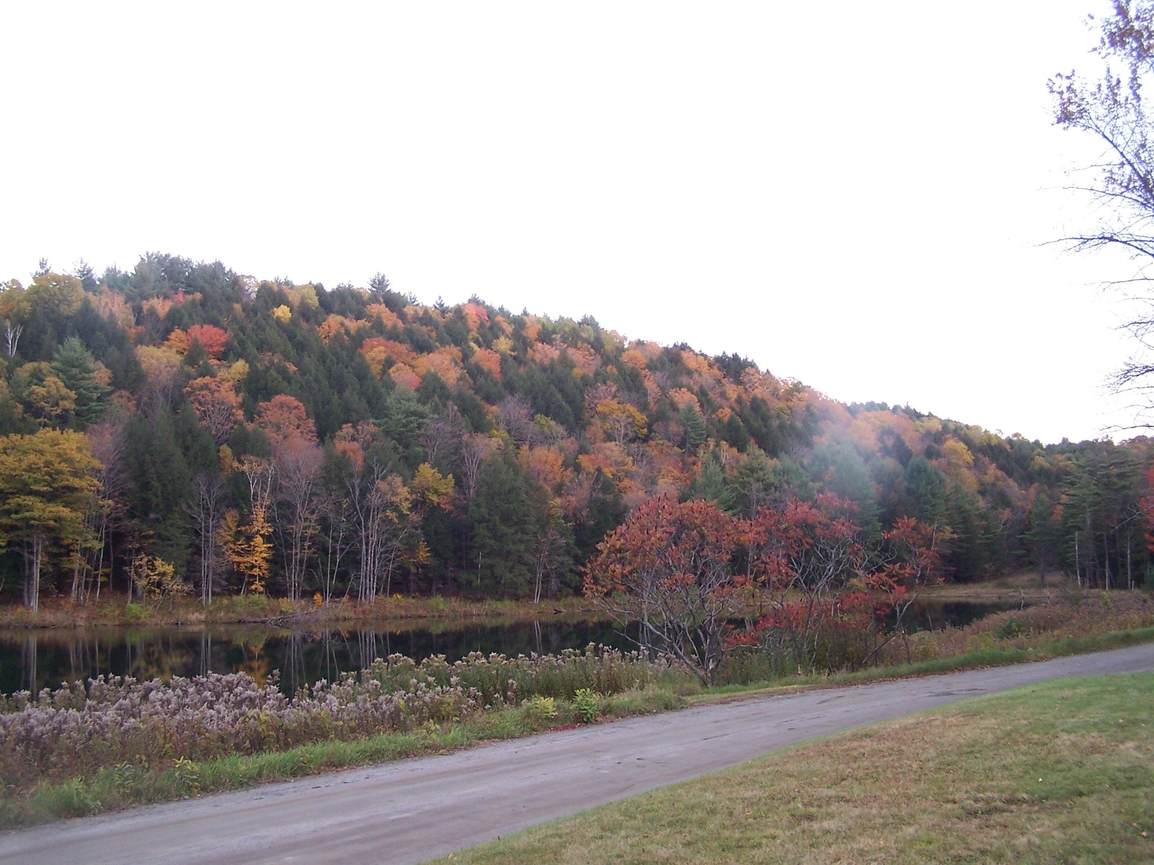 927 Kenyon Hill Road Sharon, VT 05068 - Photo 36 of 38 Gallery Image 36