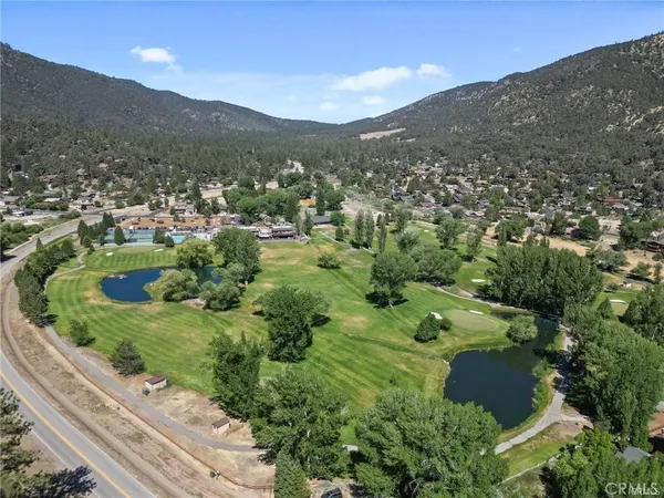 a view of a garden with a mountain