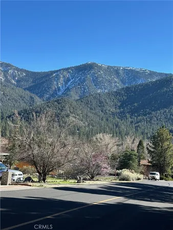 a view of a yard from a window