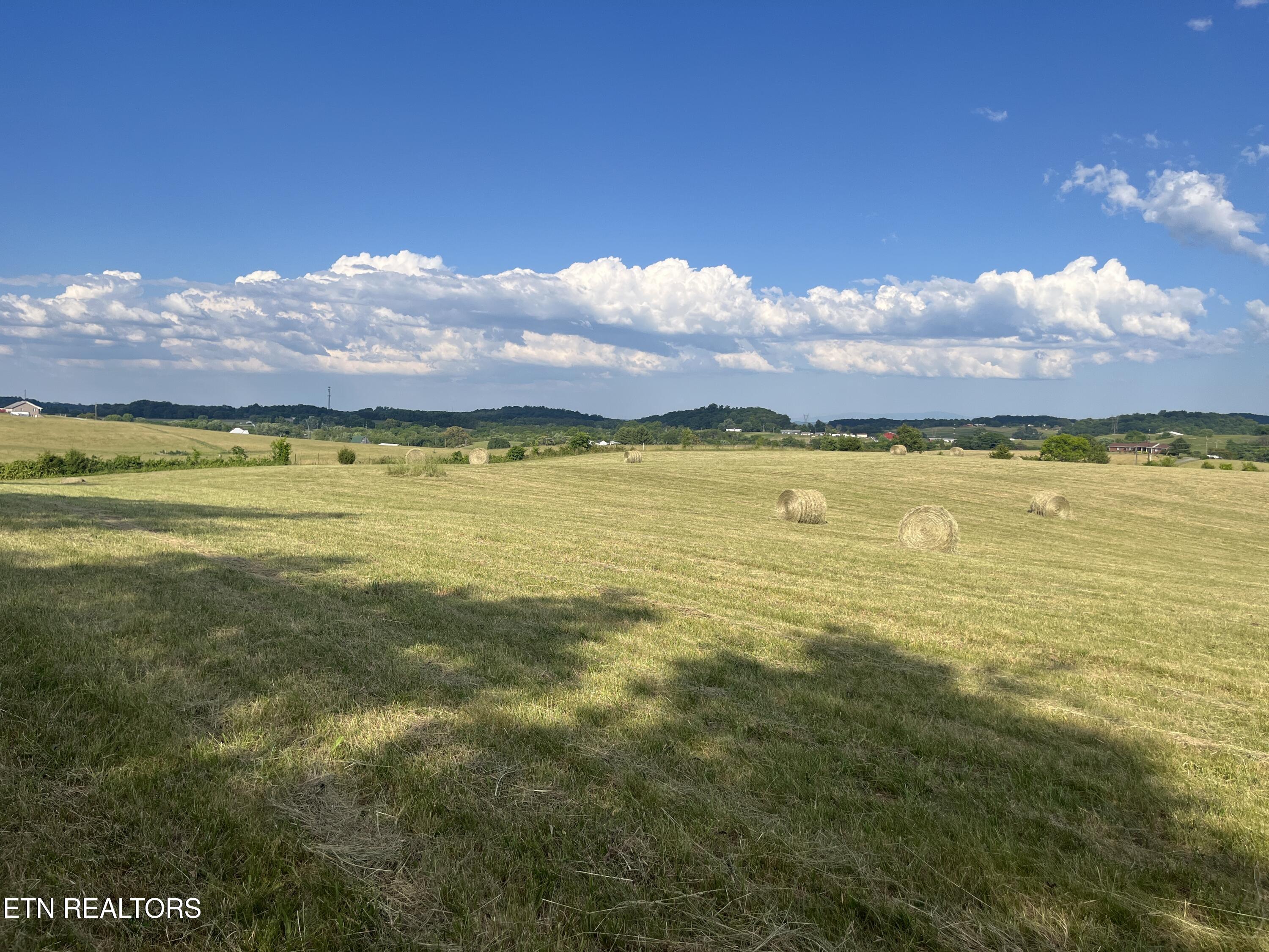 9.32 Acres Off Sam Martin Road Dandridge, TN 37725 - Photo 11 of 26 9