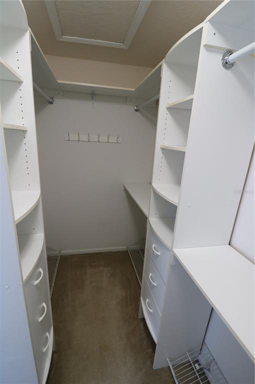 4866 Pond Ridge Drive Riverview, FL 33578 - Photo 27 of 38 a view of walk in closet with empty racks
