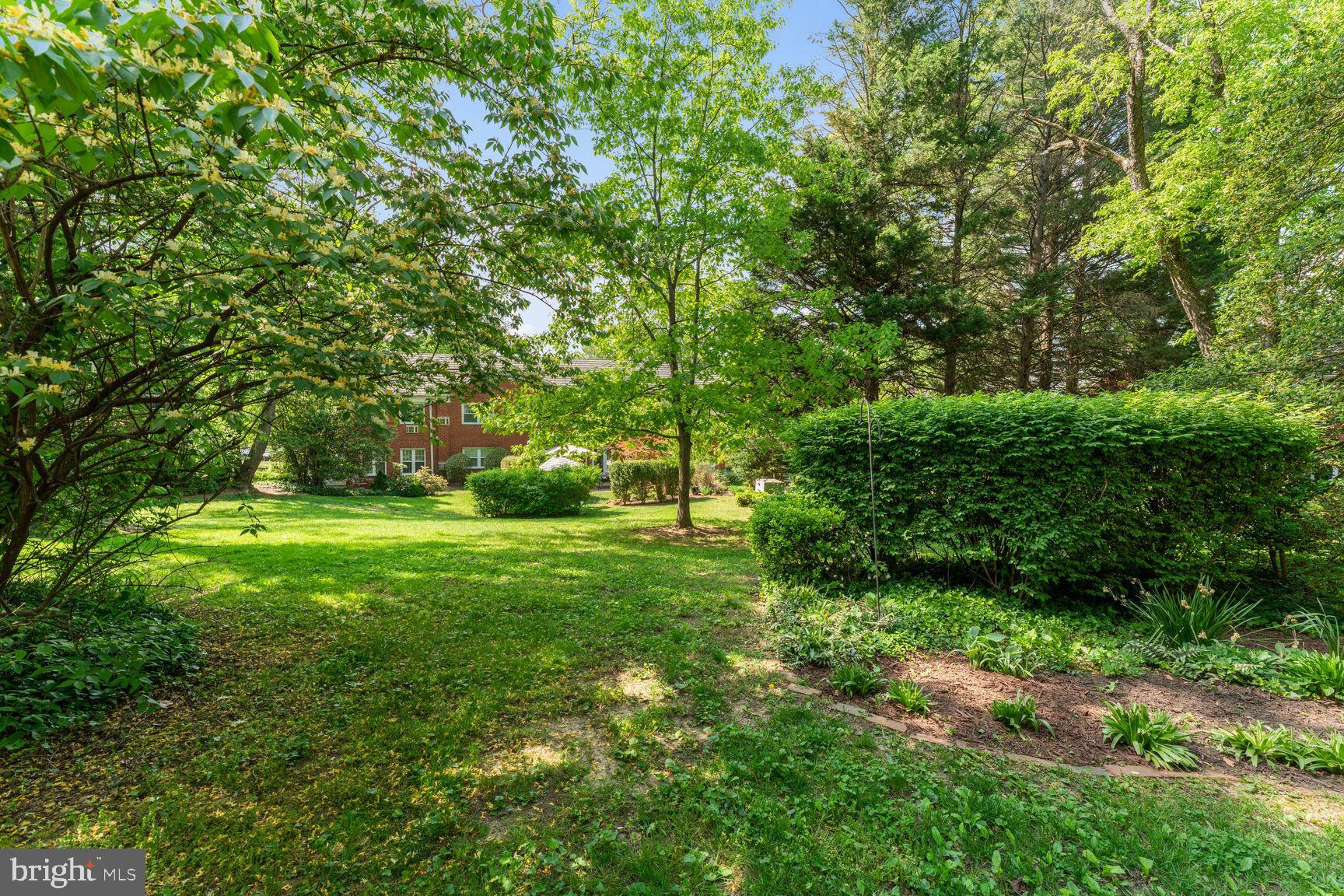 3708 Gunston Road Alexandria, VA 22302 - Photo 21 of 29 Open space behind patio