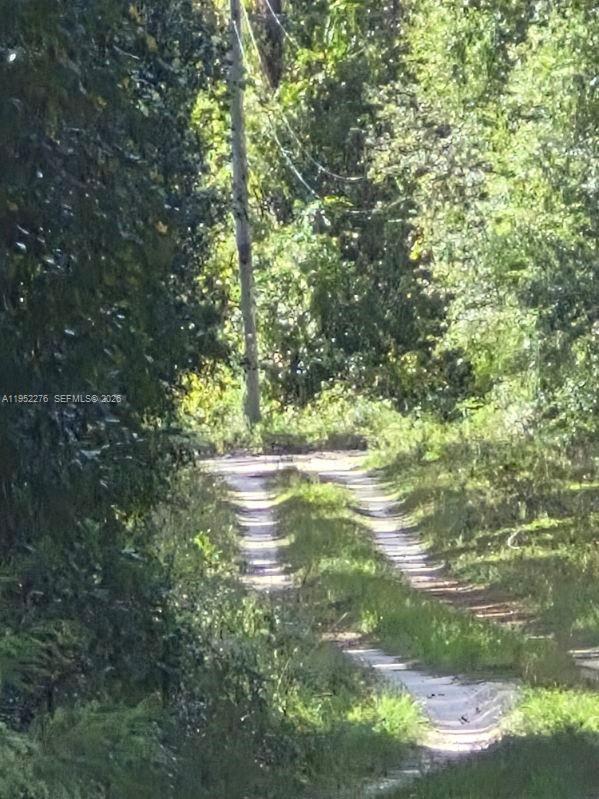 2390- Northwest 65th Street Bell, FL 32619 - Photo 2 of 10