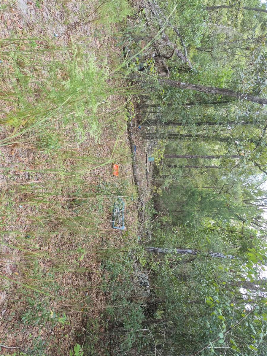 2390- Northwest 65th Street Bell, FL 32619 - Photo 6 of 10