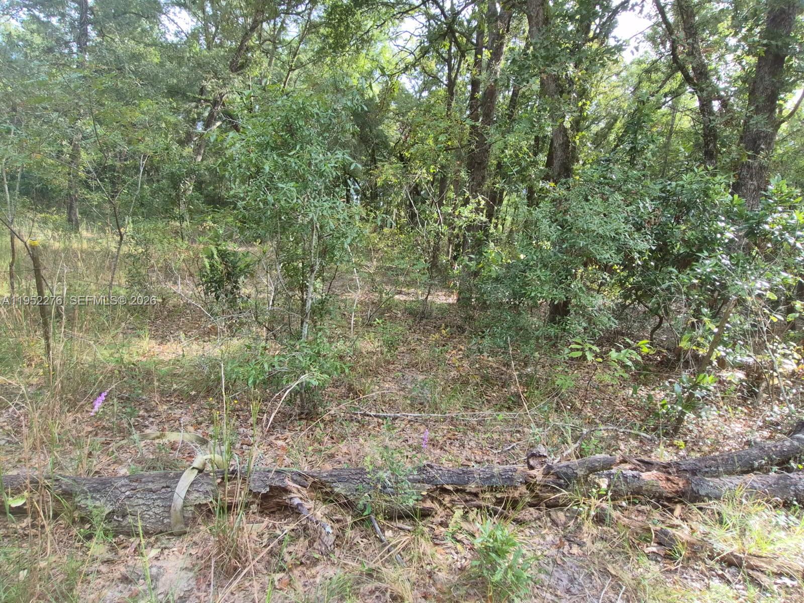 2390- Northwest 65th Street Bell, FL 32619 - Photo 10 of 10