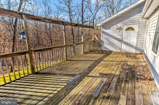 a pathway of a house with large trees