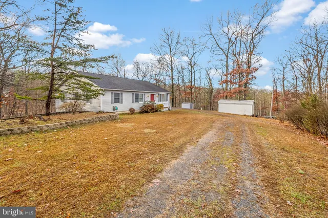 a view of road with large trees