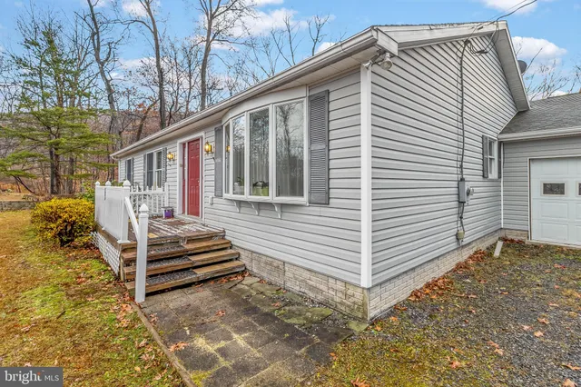 a view of backyard of house