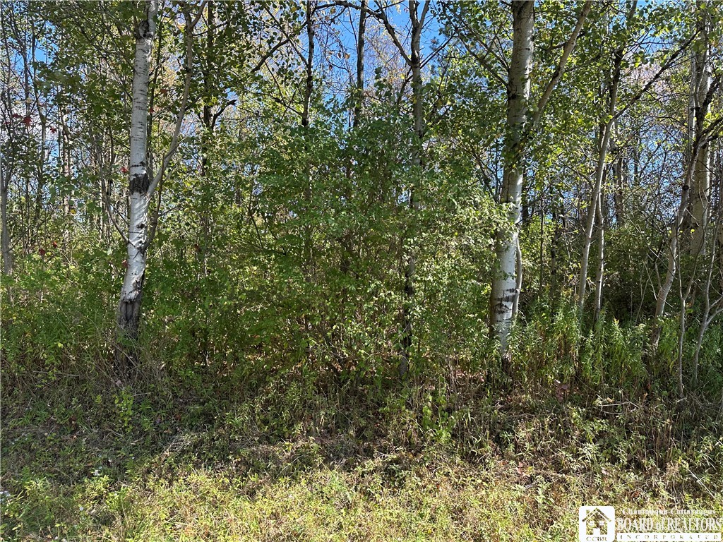 Prill Road West Valley, NY 14171 - Photo 3 of 8