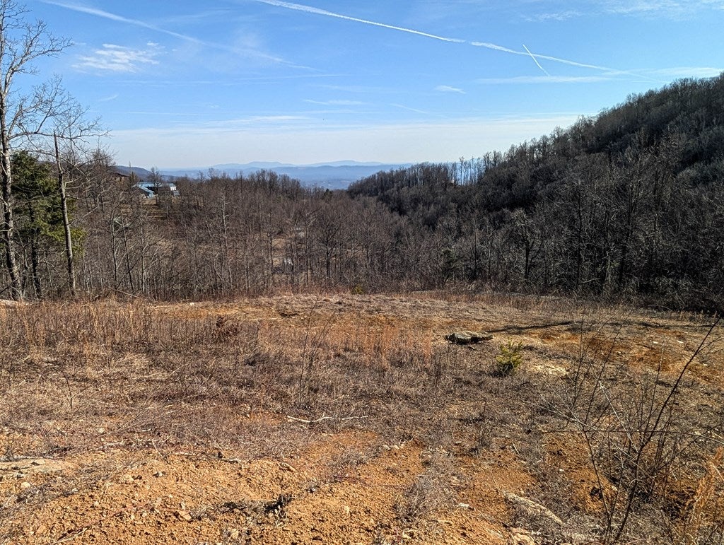 Tbd Hunters Path, Unit 9 Fancy Gap, VA 24328 - Photo 6 of 19 Gallery Image 6