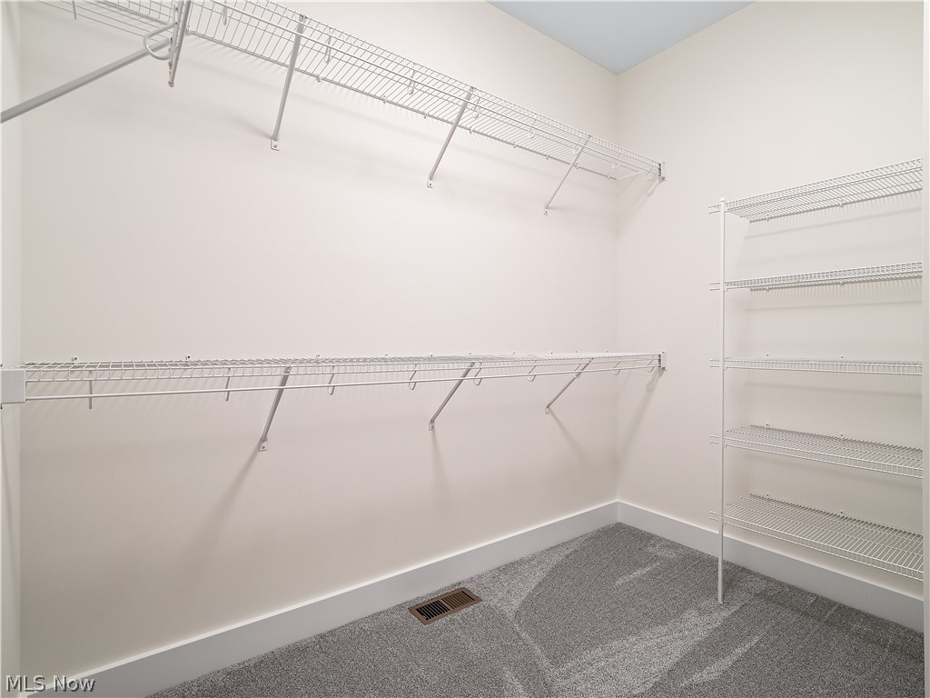 32 Brookside Lane North Ridgeville, OH 44039 - Photo 44 of 50 Spacious closet with carpet floors