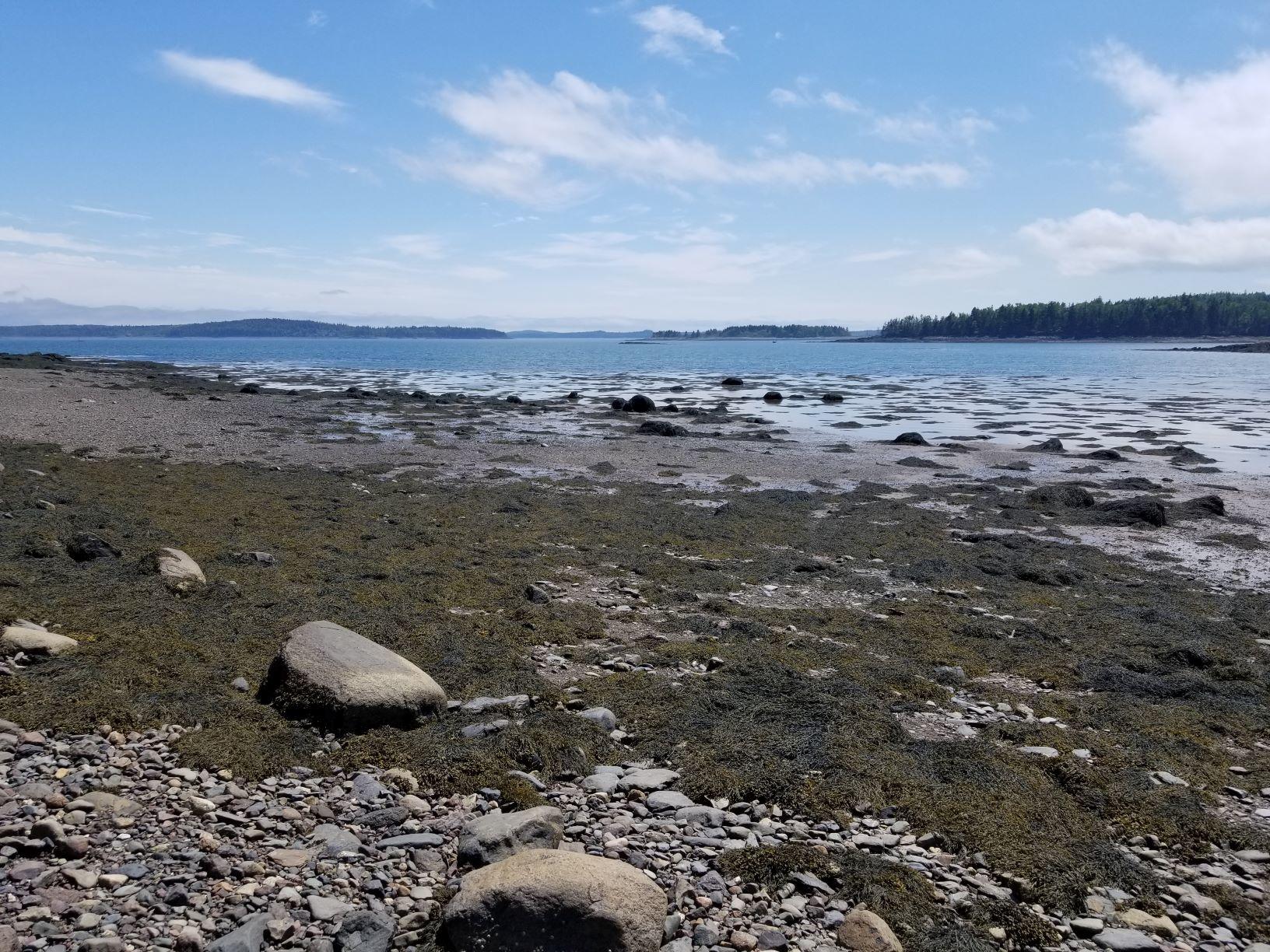0 Lincoln Cove Road Perry, ME 04667 - Photo 9 of 53 Cobscook Bay southerly view 10
