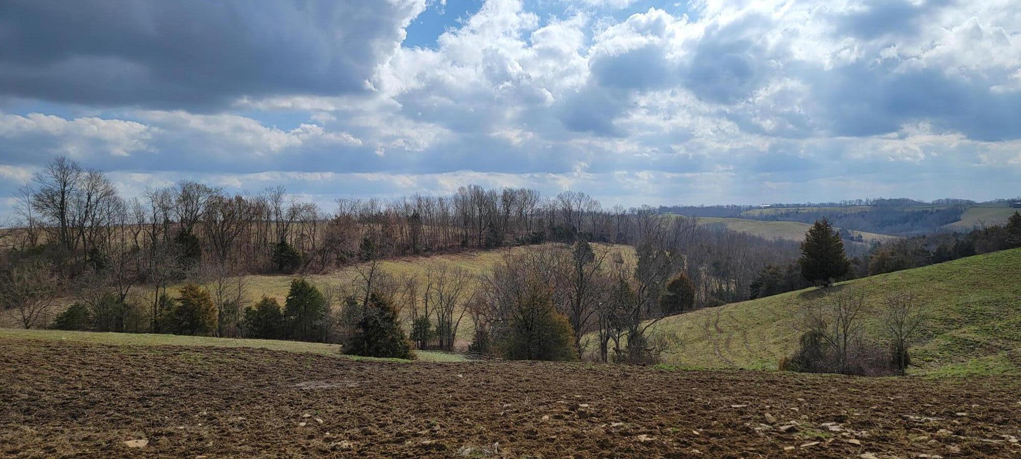 4190 Baton Rouge Road Williamstown, KY 41097 - Photo 36 of 45 Gallery Image 36