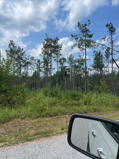 331 Co Road Corinth, MS 38834 - Photo 10 of 10 Gallery Image 10