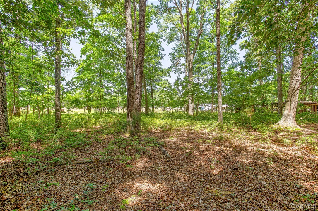 7460 Strath Road Henrico, VA 23231 - Photo 31 of 32 a view of outdoor space and trees