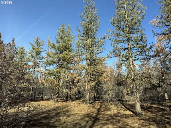 $15,000 | Hummingbird Drive, Unit 4, Bonanza, OR 97623