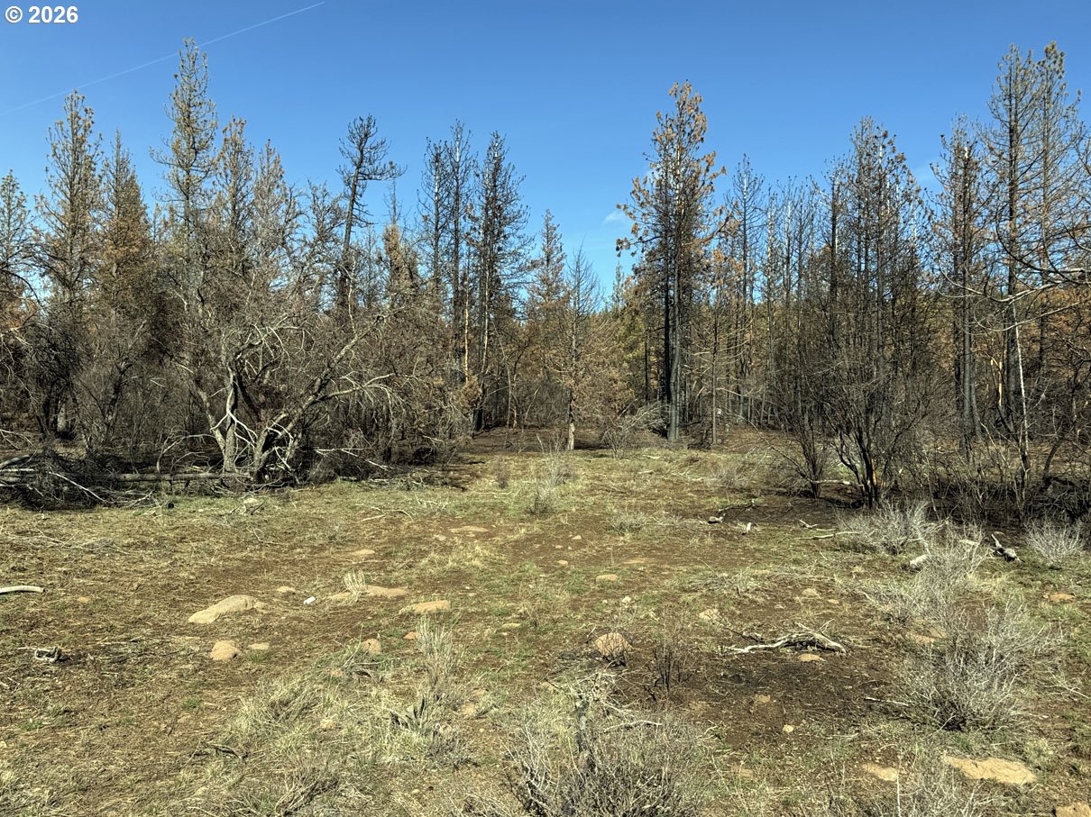 Hummingbird Drive, Unit 4 Bonanza, OR 97623 - Photo 13 of 28