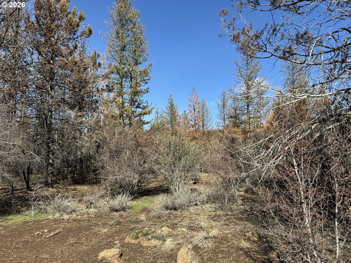 Hummingbird Drive, Unit 4 Bonanza, OR 97623 - Photo 16 of 28