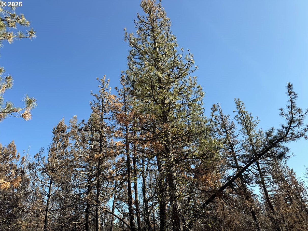 Hummingbird Drive, Unit 4 Bonanza, OR 97623 - Photo 17 of 28