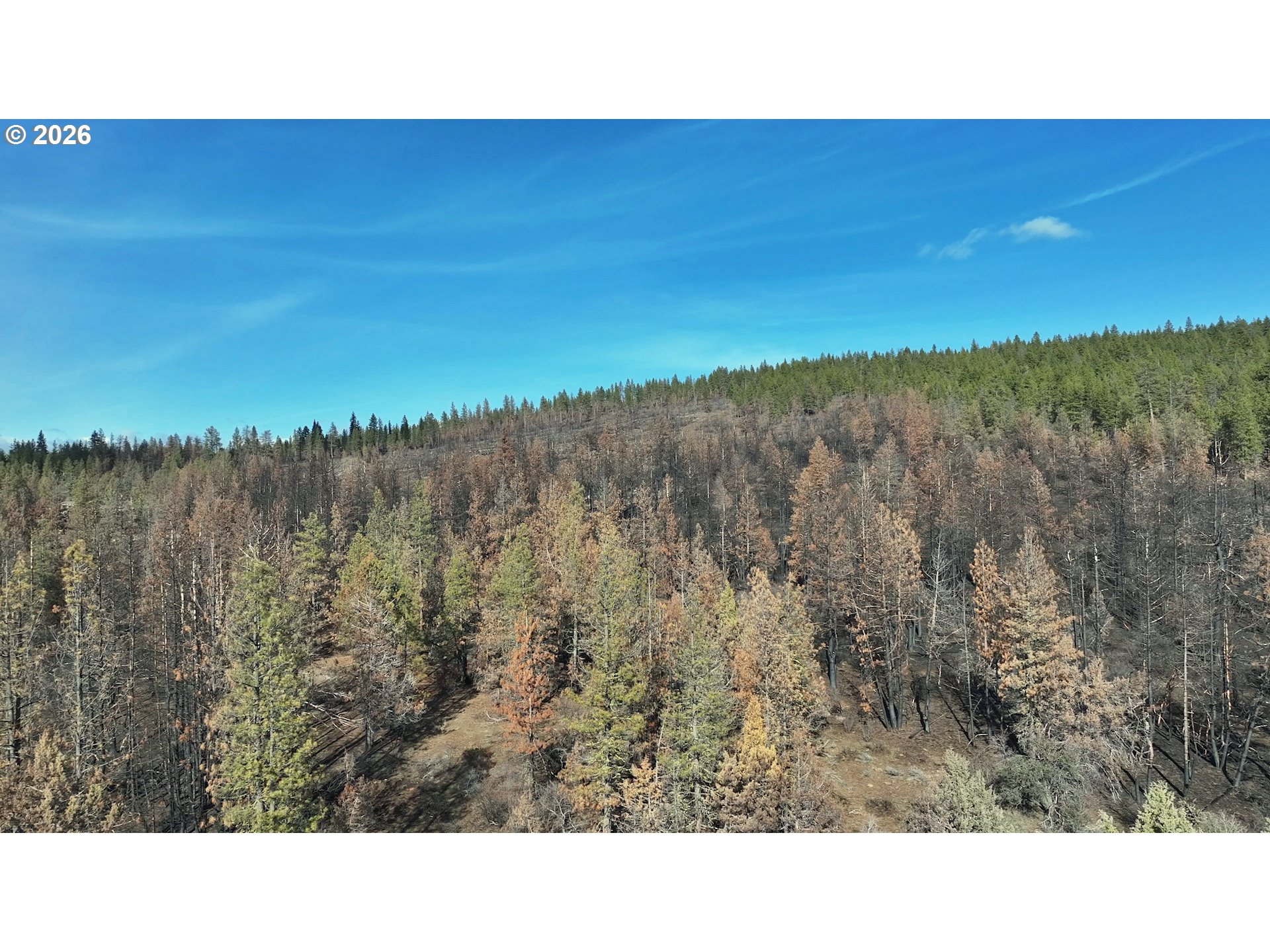 Hummingbird Drive, Unit 4 Bonanza, OR 97623 - Photo 2 of 28