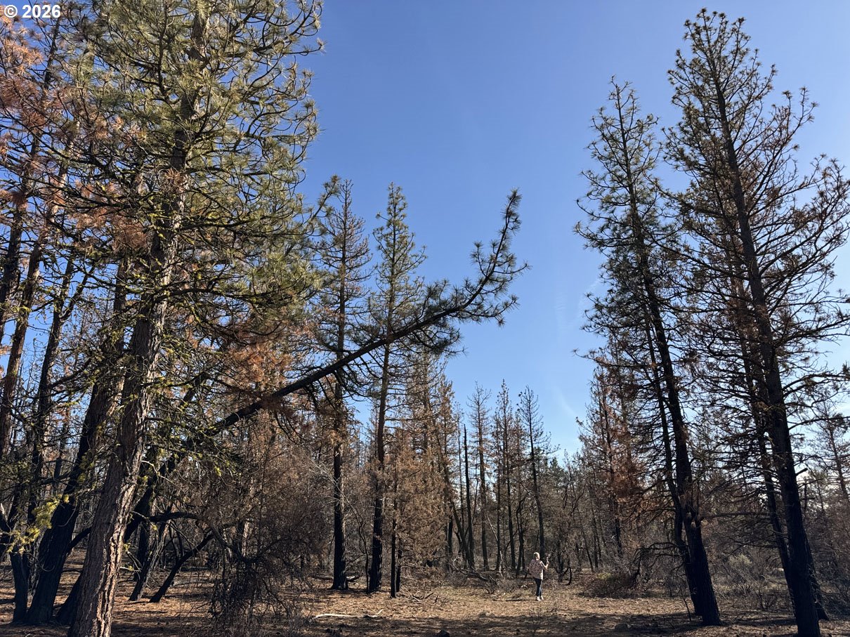 Hummingbird Drive, Unit 4 Bonanza, OR 97623 - Photo 21 of 28