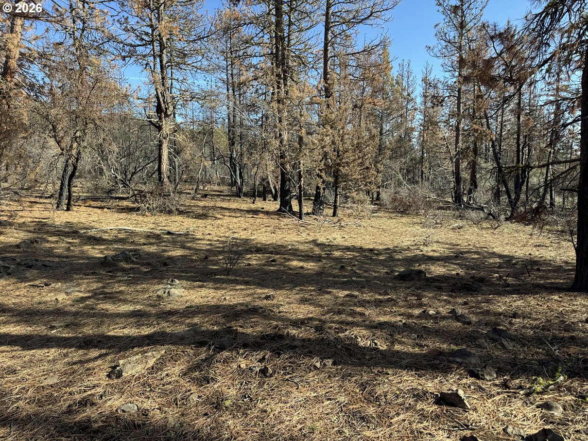 Hummingbird Drive, Unit 4 Bonanza, OR 97623 - Photo 23 of 28