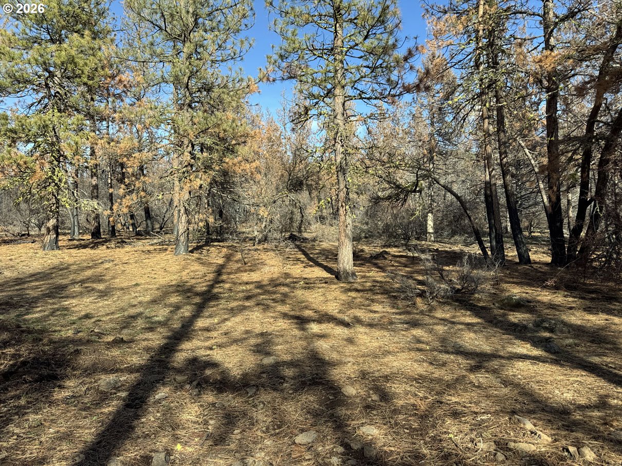Hummingbird Drive, Unit 4 Bonanza, OR 97623 - Photo 24 of 28
