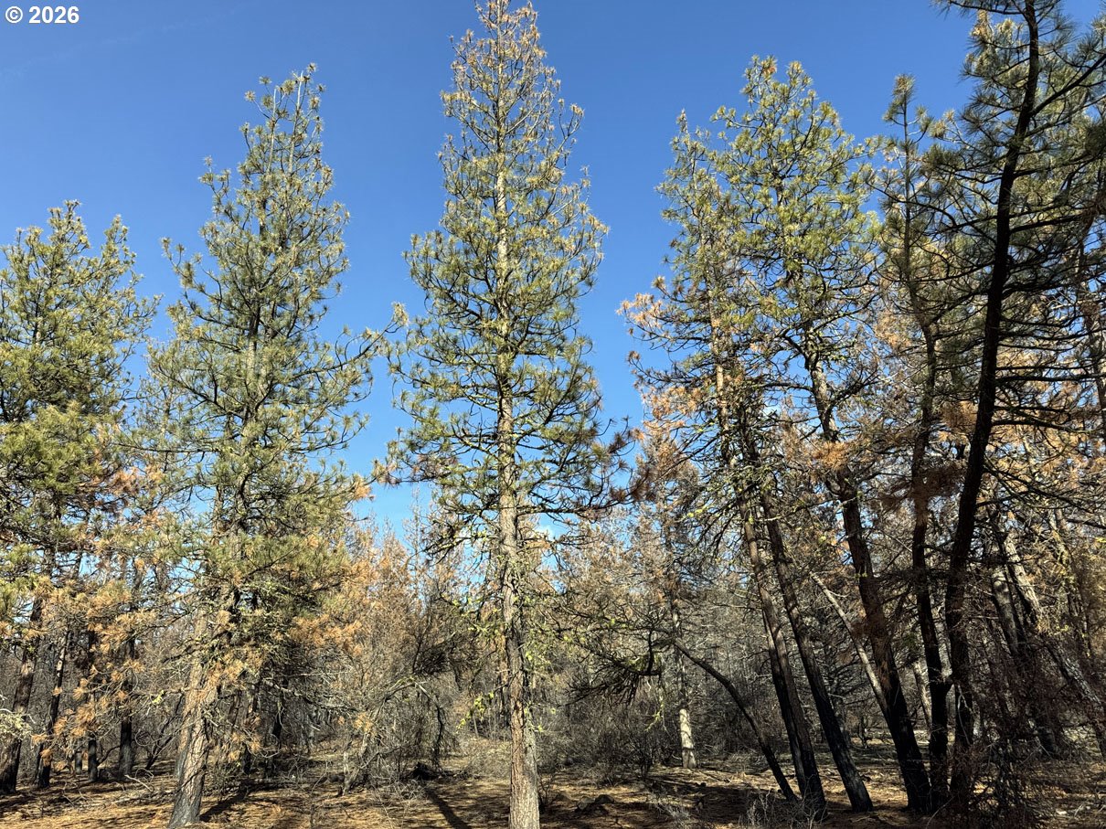 Hummingbird Drive, Unit 4 Bonanza, OR 97623 - Photo 25 of 28