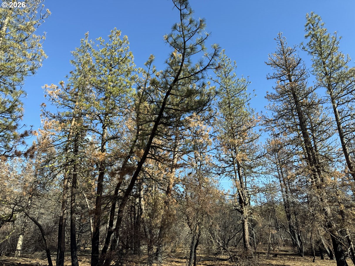 Hummingbird Drive, Unit 4 Bonanza, OR 97623 - Photo 26 of 28