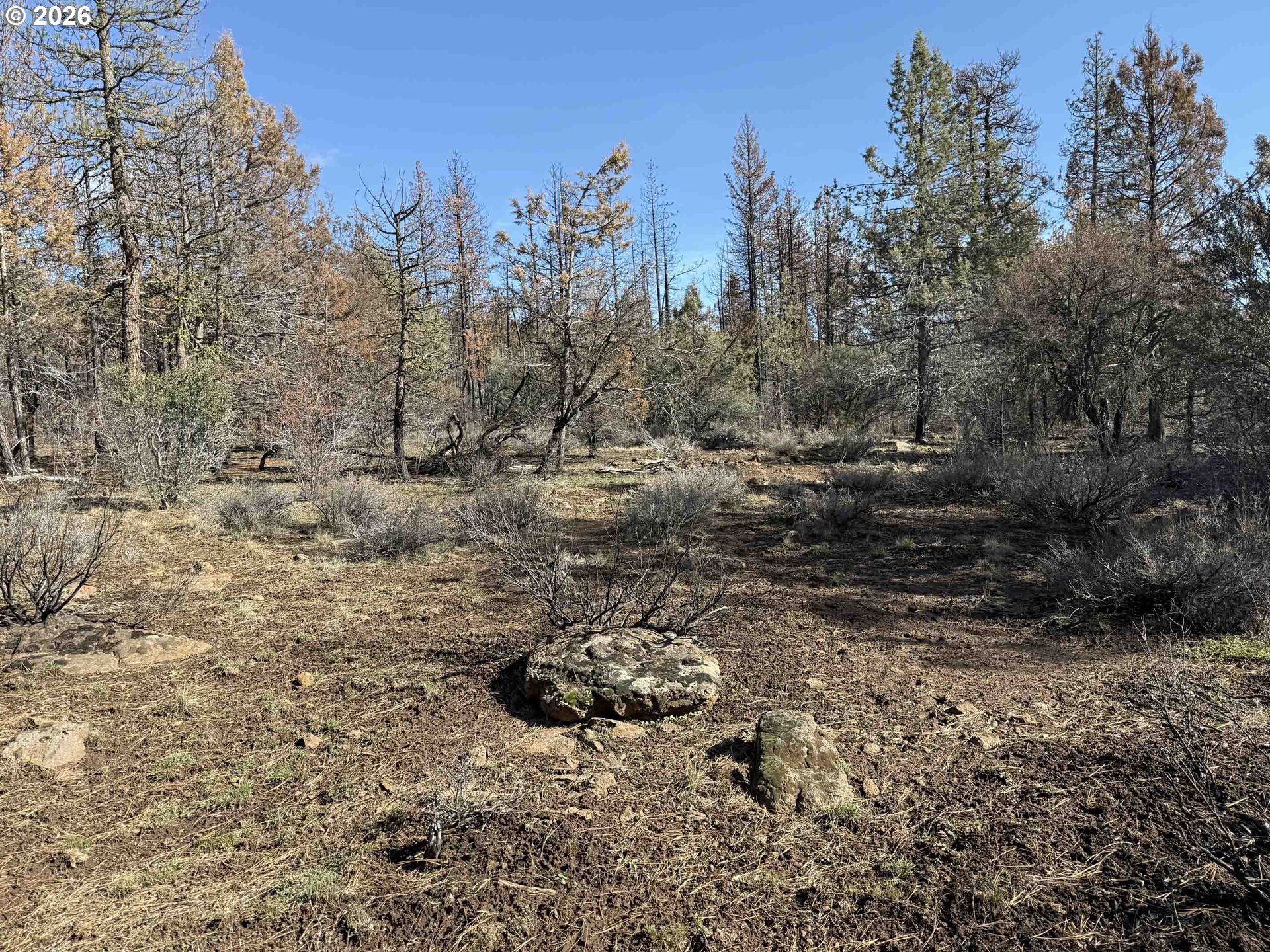Hummingbird Drive, Unit 4 Bonanza, OR 97623 - Photo 27 of 28