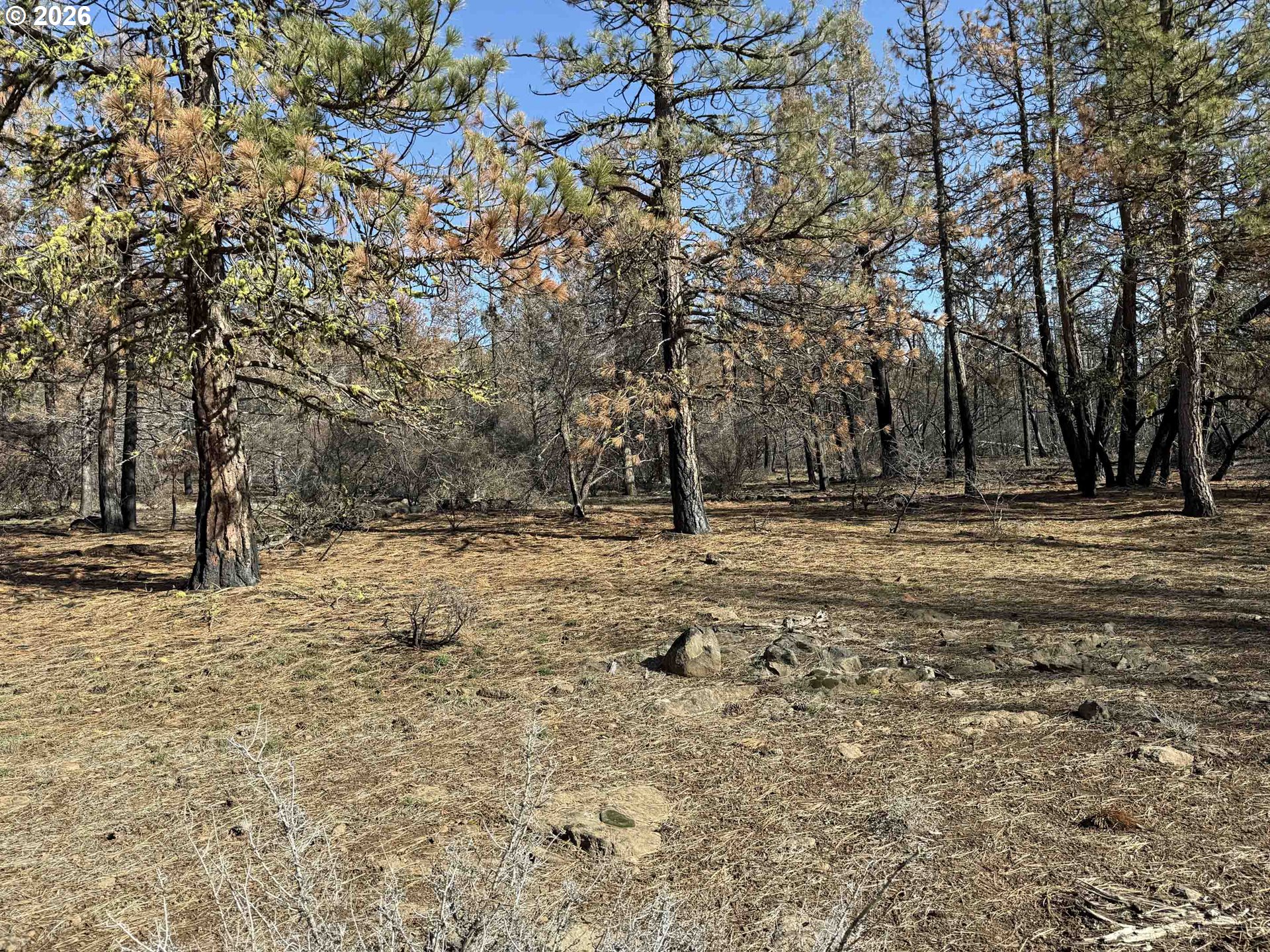 Hummingbird Drive, Unit 4 Bonanza, OR 97623 - Photo 28 of 28