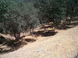 195 Pine Ridge Road Bradley, CA 93426 - Photo 1 of 1 Gallery Image 1